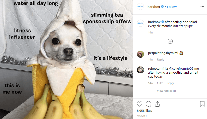 barkbox instgram marketing with memes