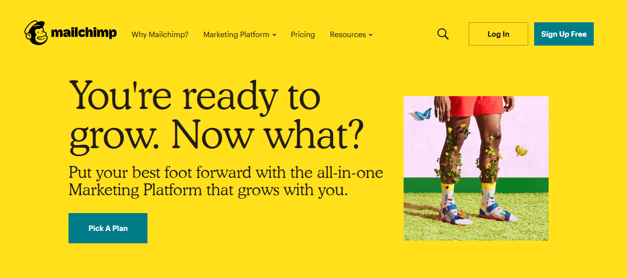 mailchimp constant contact alternativess