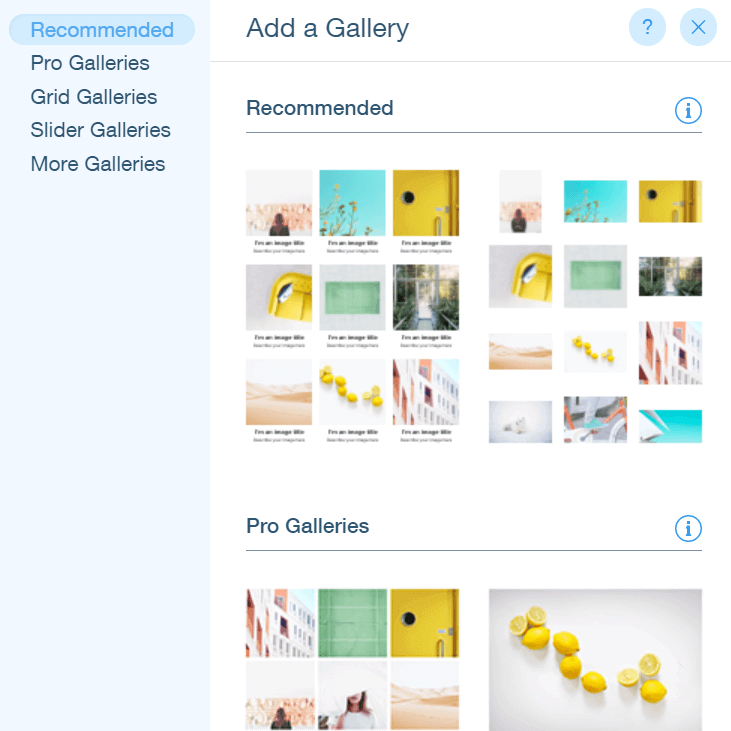 gallery