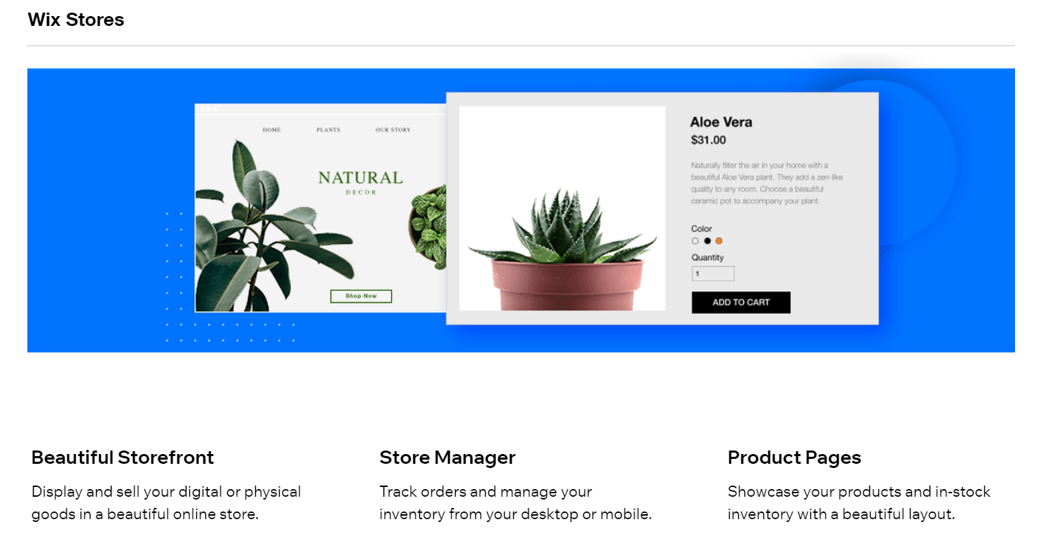industry-specific website design options
