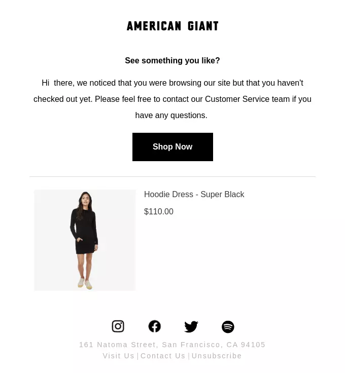 shopping cart abandonment email