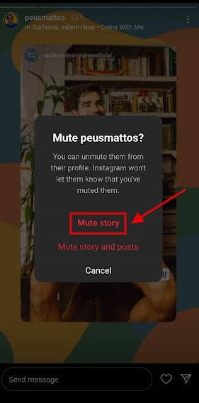 instagram mute story
