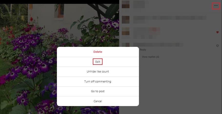 ig web browser - edit tags
