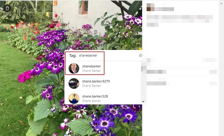 ig web browser - tagging options