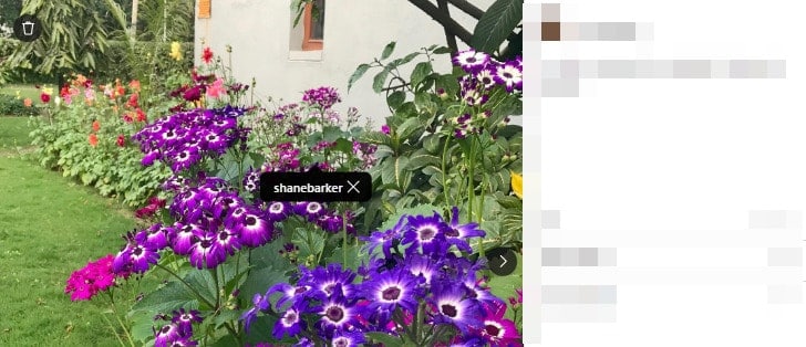 ig web browser - tagging users