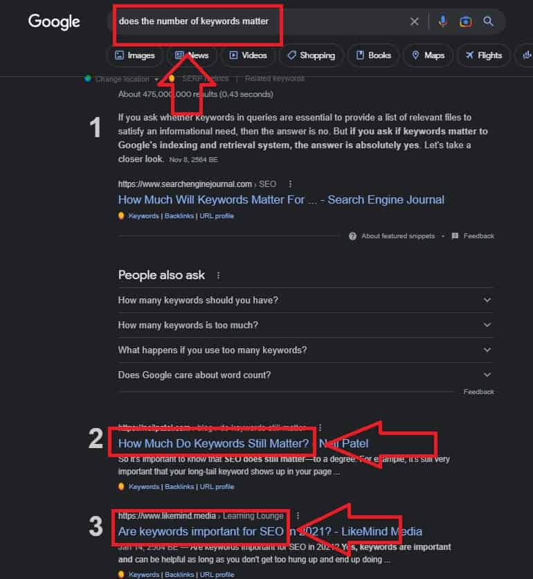 google search results example