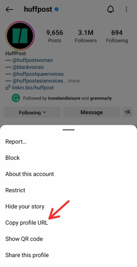 find and copy instagram profile url of another user