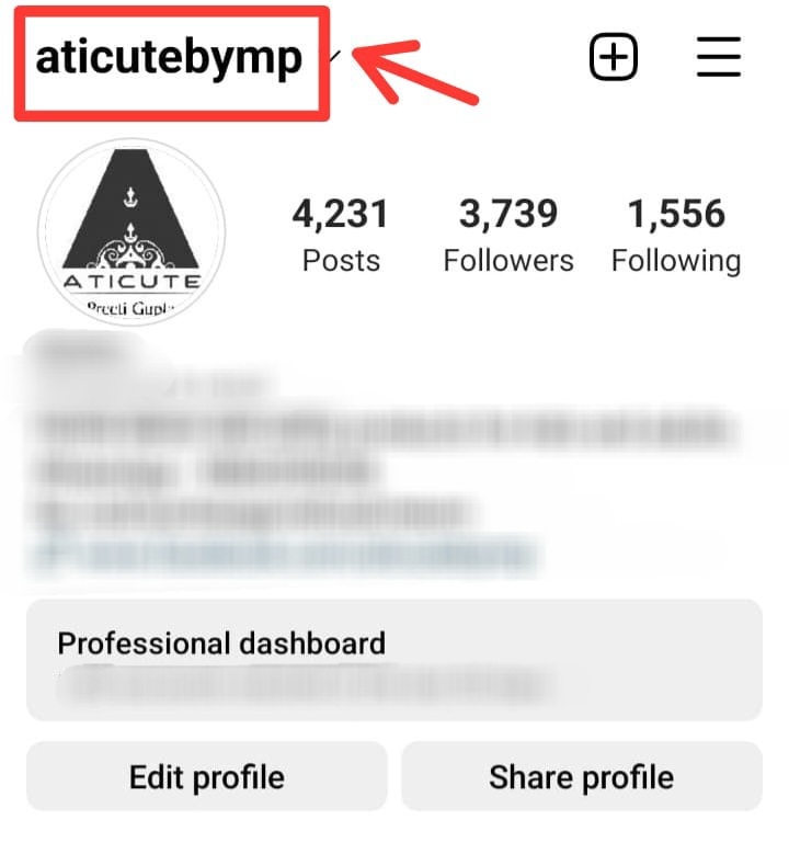 how to find instagram username