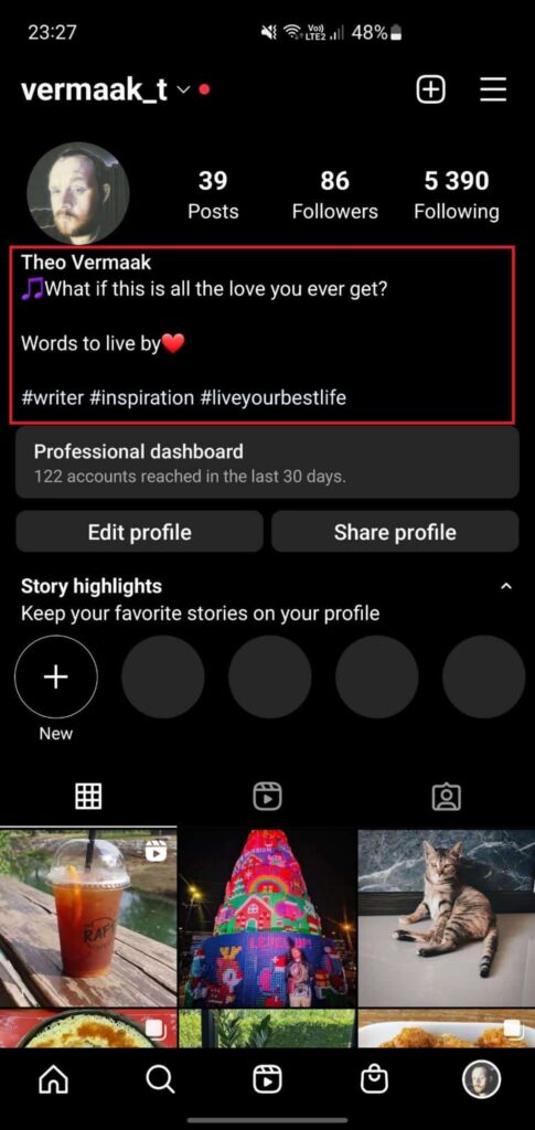 instagram bio example with line breaks