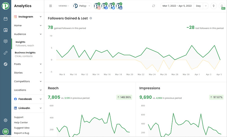 pallyy - instagram audit tool - dashboard