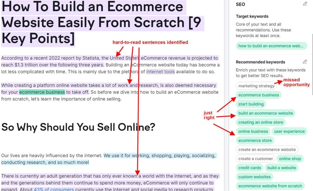 semrush writing assistant example
