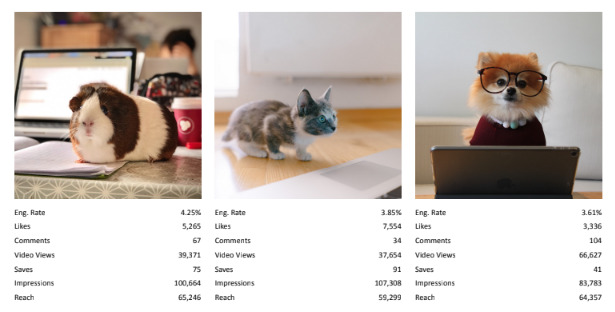 trendhero- instagram audit tool - top posts