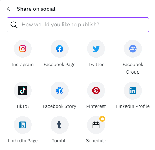 canva socials