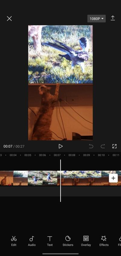 capcut editor example