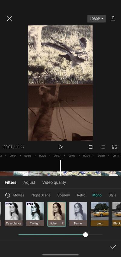 capcut filters