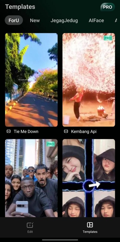 filmora templates