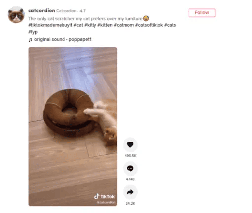 catchy captions on tiktok