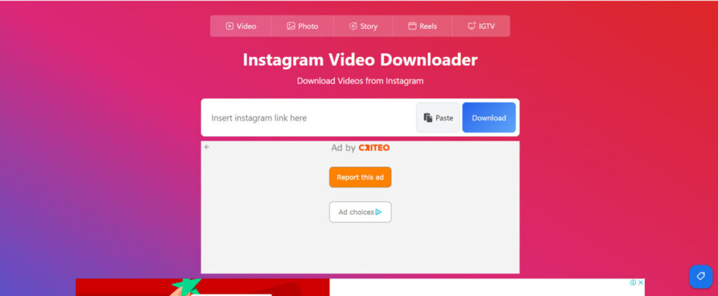 igram video downloader dashboard