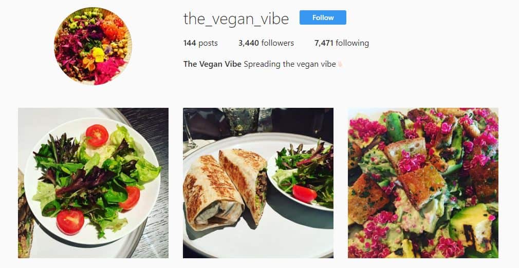 Vegan Vibe Instagram - money on social media