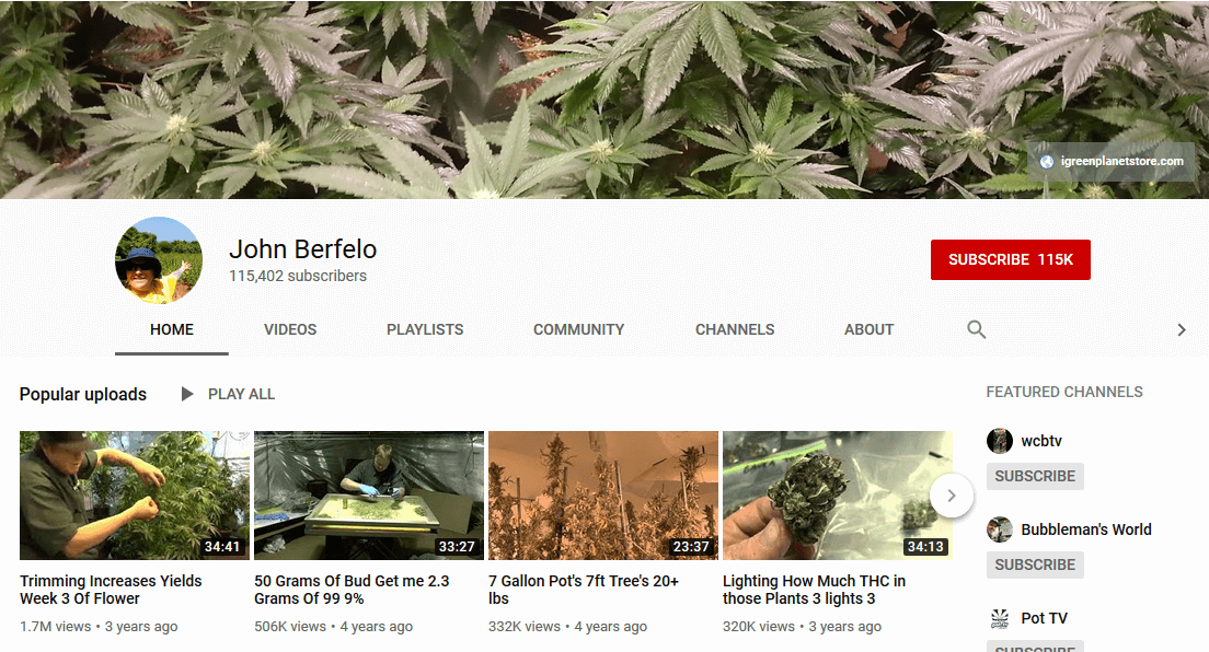 John Berfelo Youtube Cannabis influencers