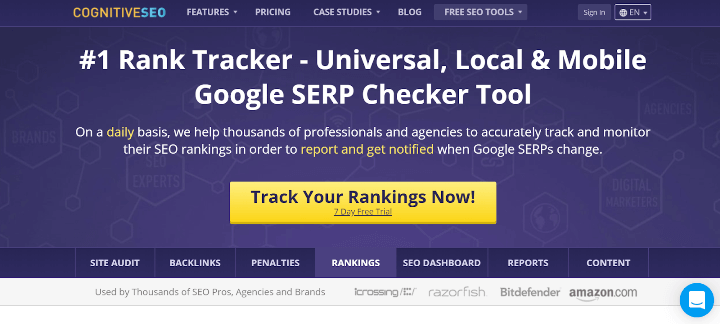 CognitiveSEO Rank Tracker Tools