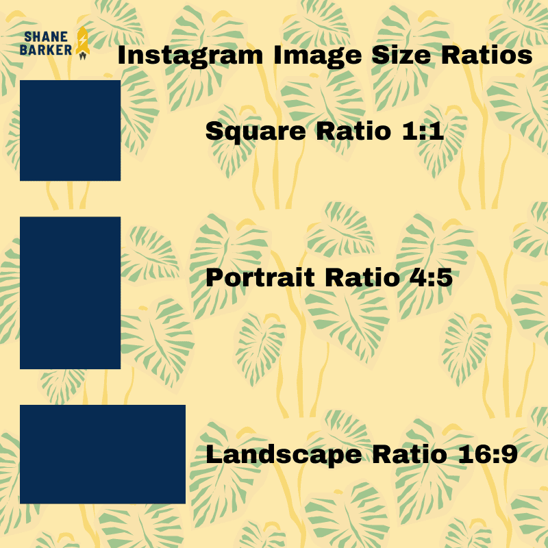 Instagram Image Size Guide