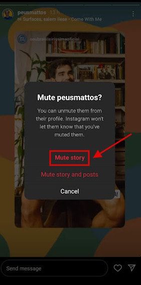 Instagram mute story