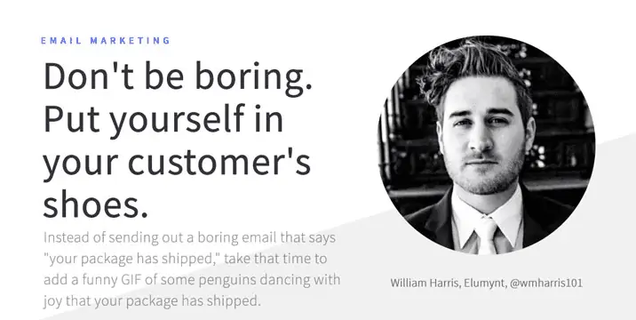 Elumynt's William Harris' quote on ecommerce email marketing
