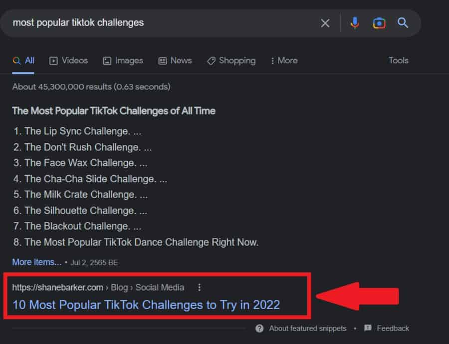 google result most tiktok challenges