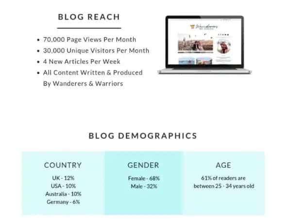 Blog audience demographics in a media kit