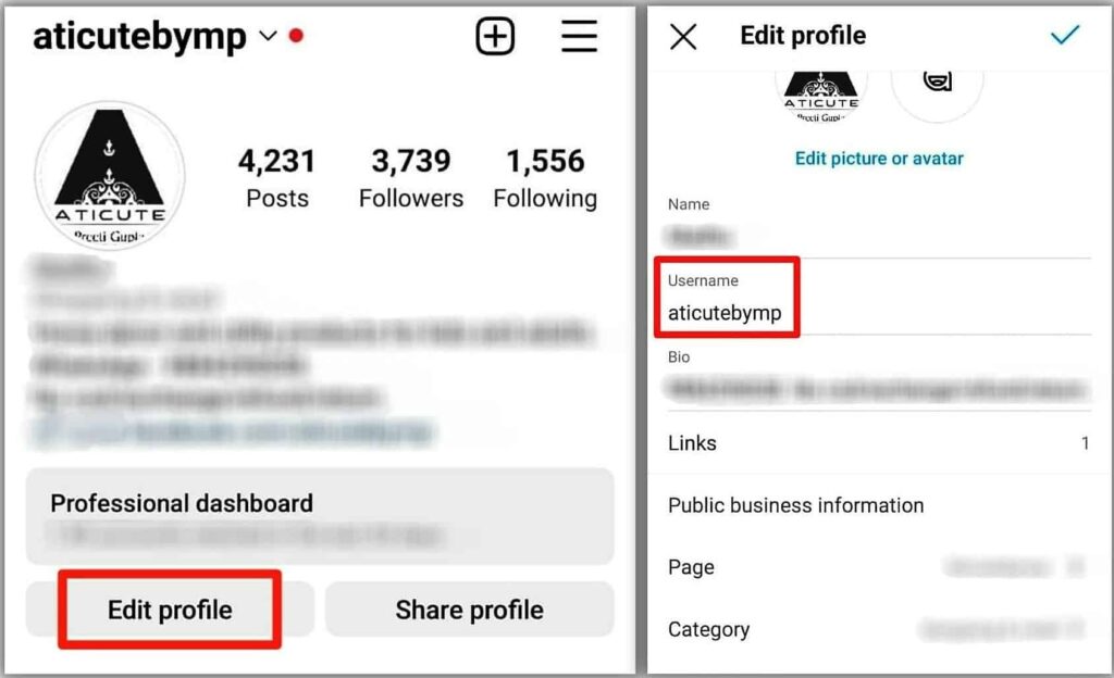 find instagram username under edit profile tab