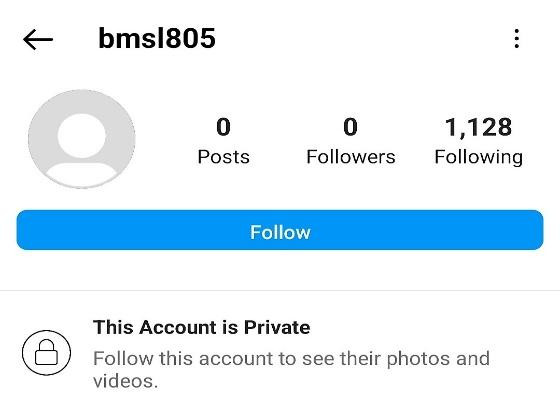 fake instagram profile example