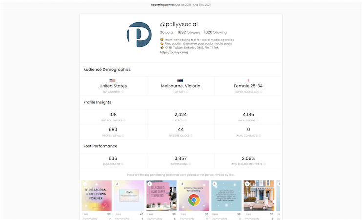 pallyy - instagram audit tool