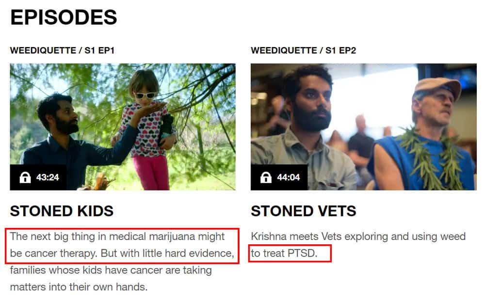 krishna's episodes of weediquette - vice tv’s cannabis-based show