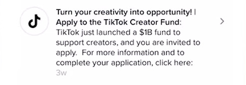 leverage the tiktok creator fund