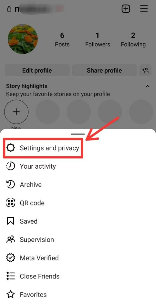 settings and privacy option on instagram