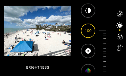 adjusting the brightness of an image to create a warm, sharp, and contrasted photo