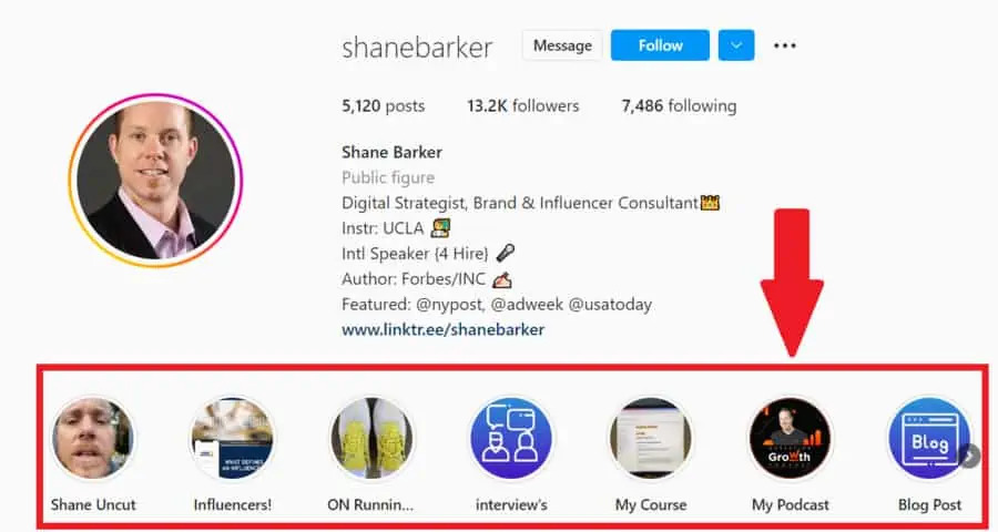 shane's instagram profile